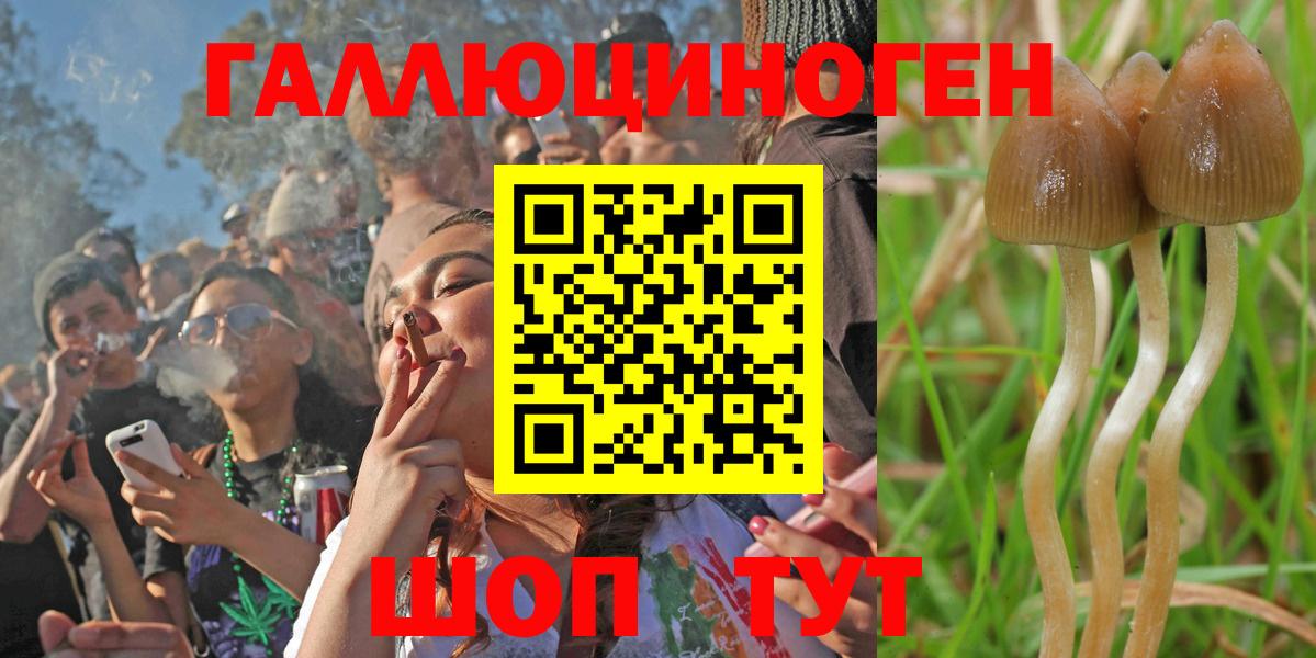 Галлюциногенные грибы Psilocybe  Вход с VPN  Зерноград 