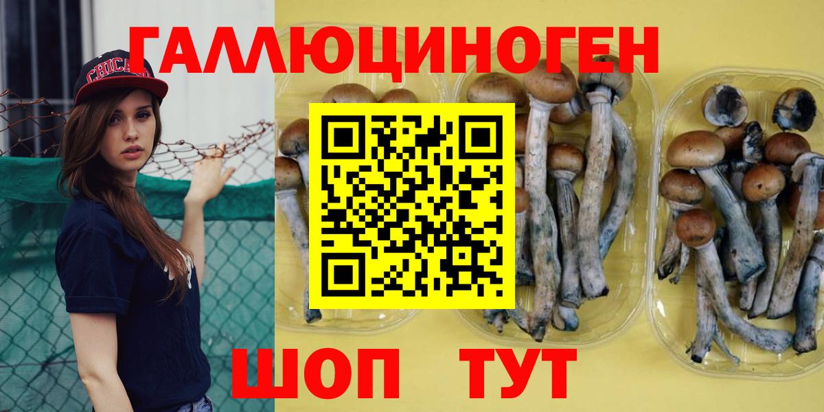 Псилоцибиновые грибы Psilocybine cubensis Зерноград